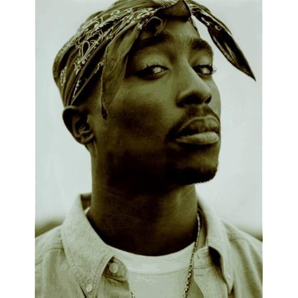The Vibe History of Hip Hop: Vibe Magazine: 9780609805039: Amazon