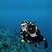 PANNOVO Dome Port Diving Lens for GoPro Hero 5 Black Edition Camera