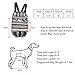 Cosmos Pet Dog Carrier Backpack Pet Dog Cat Legs Out Front Carrier Travel Bag for Traveling Hiking Camping for Small Medium Dogs Cat, Colorful Strip Pattern (Small Size)