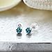 Gem Stone King 14K White Gold Gemstone Birthstone Stud Earrings | Round 5MM | 14K Silicone Push Back | Gold Earrings For Women Men