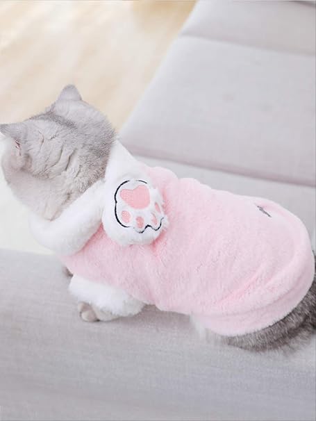 cute kitten clothes