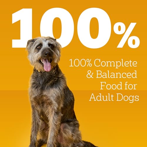 PEDIGREE CHOICE CUTS IN GRAVY ADULT CANNED SOFT WET DOG FOOD, BEEF & COUNTRY STEW, 13.2 OZ. CANS (12 COUNT, PACK OF 1)