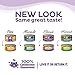 Wellness Complete Health Pate Adult Wet Cat Food, Natural, Protein-Rich, Grain Free, 12.5 Ounce, 12 Pack, (Turkey & Salmon)