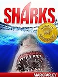 Sharks! – Amazing Facts & Photos of Sharks for Kids with Videos