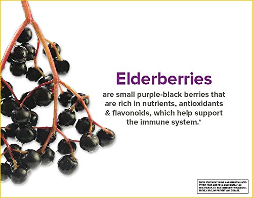 Zarbees-Naturals-Nighttime-Black-Elderberry-Immune-Support-Highly-Concentrated-Syrup-with-Melatonin-8-oz-Bottle