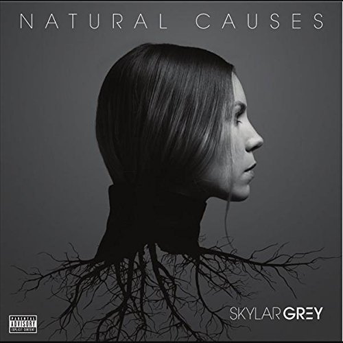 Skylar Grey - Fifty Shades of Grey - Zortam Music