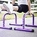 BodyRock Mini Dip Bar Station: Challenger Mini Parallette Bars for Dips & Calisthenics - Parallel Bars to Build Core Strength, Balance & Tricep, Arm & Shoulder Muscles - Fitness Equipment for Home Gym