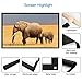 PERLESMIT Portable Projector Screen 100 Inch 16:9 Widescreen for Outdoor Indoor Movie Home Theater Cinema, Rolled Up PVC Anti-Crease Diagonal Full HD 4K 3D Projection Screen Wrinkles Free