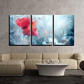 3 Piece Canvas Wall Art - Field of Bright Red Poppy Flowers in Summer - Modern Home Art Stretched and Framed Ready to Hang - 16"x24"x3 Panels