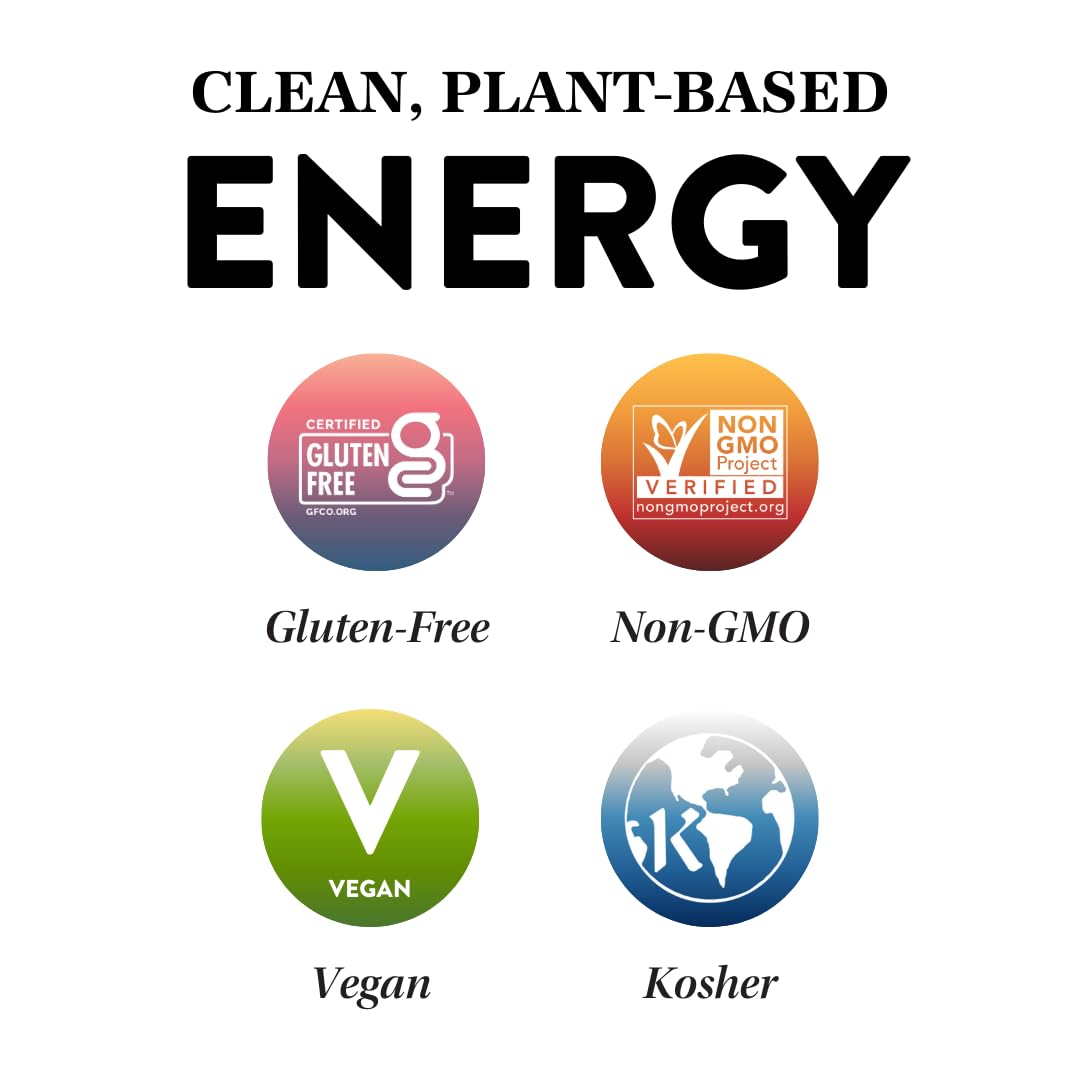 Protein Puck Plant Based Bars | Snacks with Vegan Protein | 16 Count | 3.25 oz Full Size | Gluten Free, Non Dairy, Kosher Certified Non GMO Premium Healthy Bars | Variety Pack