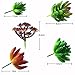 CEWOR 10pcs Mini Artificial Succulents Different Kinds for Plants Wall Decoration DIY Materials