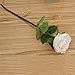 Bringsine Baby Breath Gypsophila Wedding Decoration Artificial Flowers 40 Pieces/lot-Purple