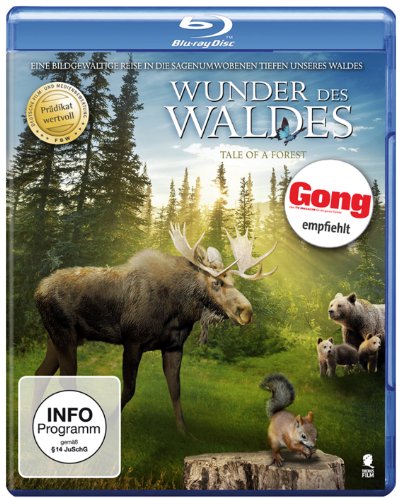 Wunder Des Waldes