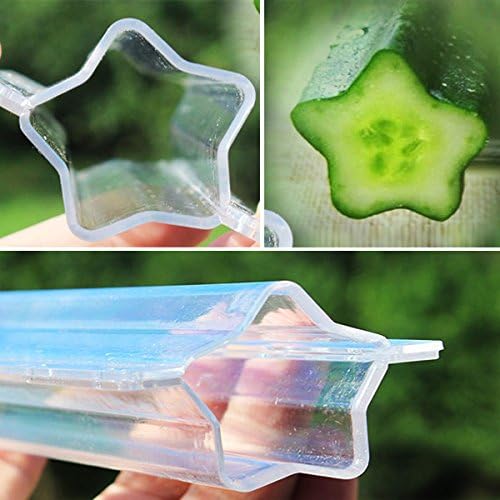 Star Shape Cucumber Shaping Mold Garden Vegetable Growth Forming Mould Tool