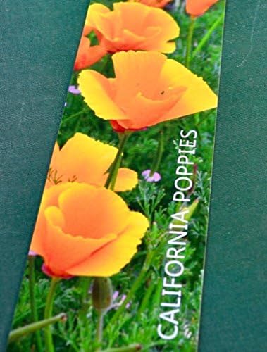 California Poppies Bookmarks, Set of 4 - Original-Design Nature Photography Bookmarks - Premium Paper &amp; Inks - In Clear Protective Sleeve