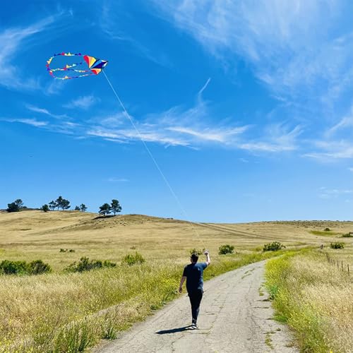 HONBO Large Delta Kite for Kids & Adults,Extremely Easy to Fly Kite for Beach Trip,String Line Included,with Colorful Tail,Perfect for Beginners