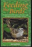 Feeding the Birds by