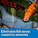 API POND AMMO-LOCK Ammonia detoxifier For Pond Water 16-Ounce Bottle