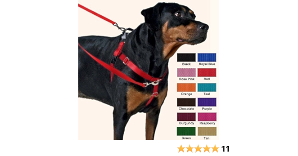 freedom harness amazon