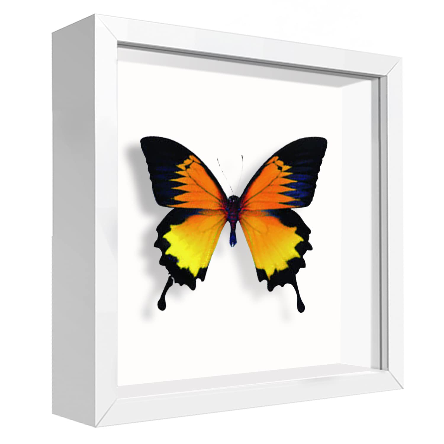 sunmeg 3D Shadow Box 5x5 Picture Frame Wooden Deep Box Display Personalised Photo Frames Gifts for Crafts, Anniversary, Wedding, Graduation