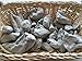 Gray Clay Pressed Chunks (lump) Natural for Eating (Food), 4 oz (113 g)