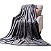 NANPIPER Throw Blanket, Fuzzy Plush Couch Blanket, All Season Extra Fluffy Warm Brush Fabric Throw for Bed/Sofa (Twin Size 65