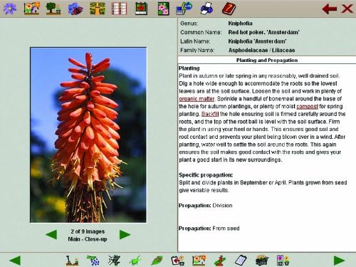 Complete Gardens: Plant & Pruning Guide (PC CD ROM) - Image 4