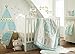 Levtex Baby Little Feather Aqua 5 Piece Crib Bedding Set, Quilt, 100% Cotton Crib Fitted Sheet, 3-tiered Dust Ruffle, Diaper Stacker and Large Wall Decals