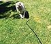 WATERBONE: First Water Sprinkler for Dogs!