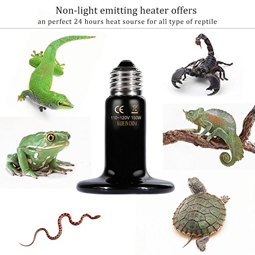 5 Zacro+Reptile+Thermometer+Infrared+Non+light