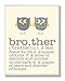 The Kids Room by Stupell Definition of Brother with Two Grey Owls Rectangle Wall Plaque, 11 x 0.5 x 15, Proudly Made in USA