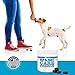 H3 Essentials Hip & Joint Care Maximum Strength Supplements for Dogs - 90 count