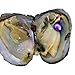(15PCS) 2017 Fashion 7-8mm Oysters with Large Oval Pearl inside Birthday Gifts (7-8mm)