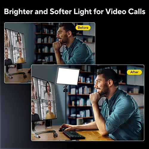 RALENO 19.5W LED Video Soft Light, 650Lux Studio Light Built-in 2 * 4000mAh Rechargeable Batteries, Camera Panel Light with CRI>95 3200-5600K, for YouTube Zoom Photography Video Recording Conference