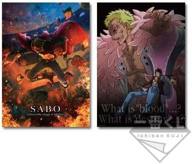 Amazon 一番くじ ワンピース コロシアム決戦編 E賞 クリアポスター 全2種セット アニメ 萌えグッズ 通販