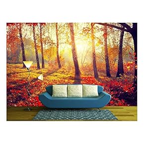 Autumn. Fall. Autumnal Trees in Sun Rays - Removable Wall Mural | Self-Adhesive Large Wallpaper - 66x96 inches