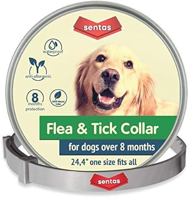 little live pets fluffy