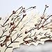 VGIA 18 Inch Christmas Wreath Winter Wreath with Wooden Leaves and Pip Berries