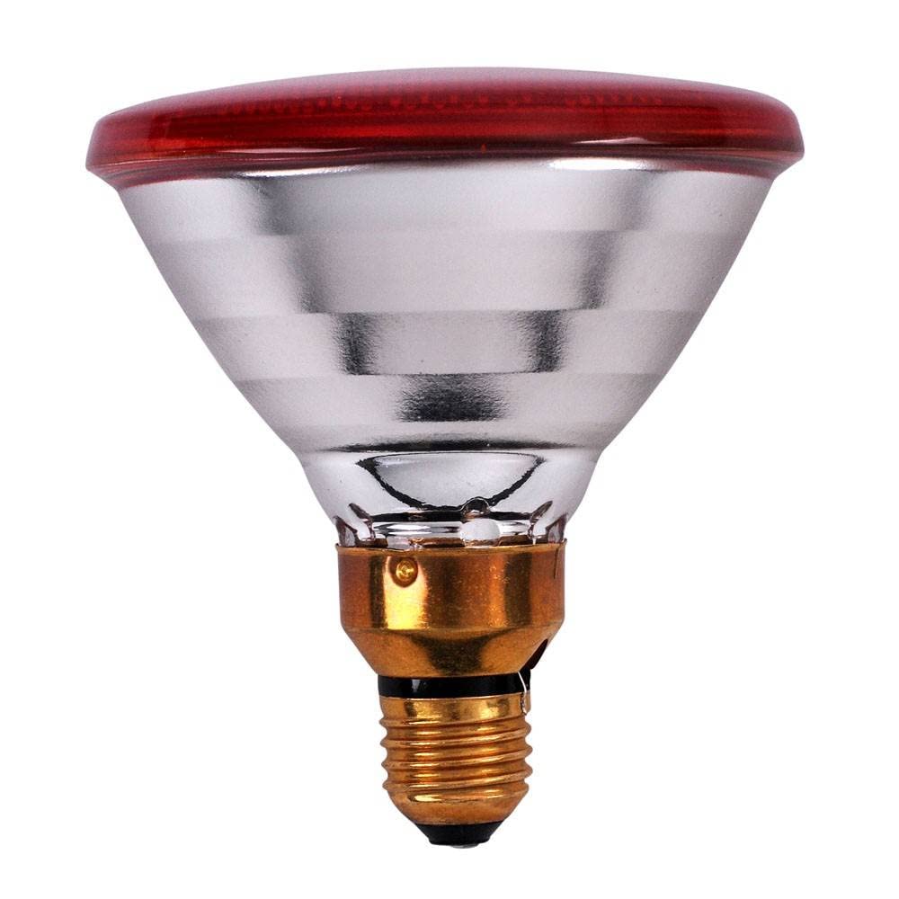 Philips Kerbl Economy Infrared Lamp 175 W Red