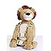 Berhapy 2 in 1 Lion Toddler Safety Harness Backpack Children's Walking Leash Strap（Yellow）
