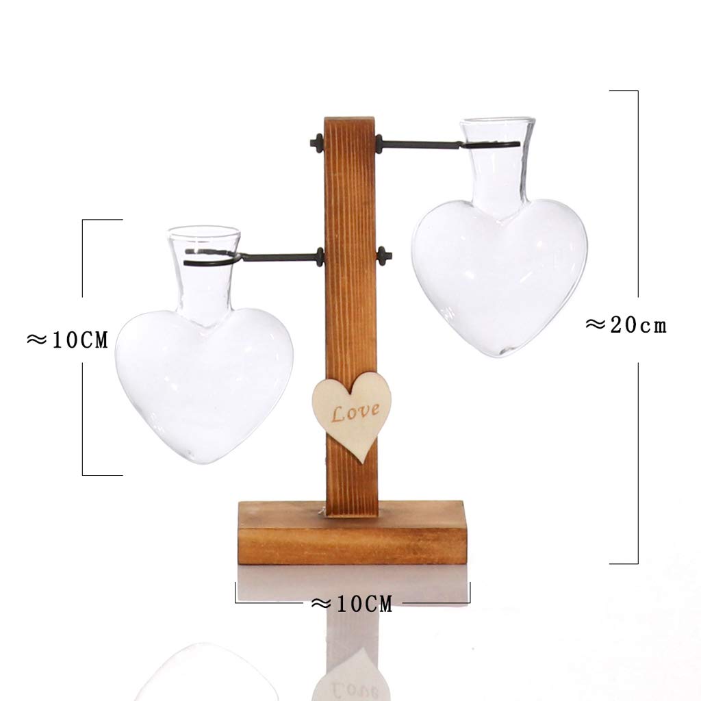 HomeDecTime Florero De Vidrio Colgante Planta De Escritorio Terrario