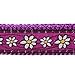 Red Dingo Daisy Chain Purple Dog Collar, Medium/Large/20mm