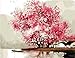 Colour Talk DIY Oil Painting, Paint By Number Kit- Misty Rain 16x20 inch