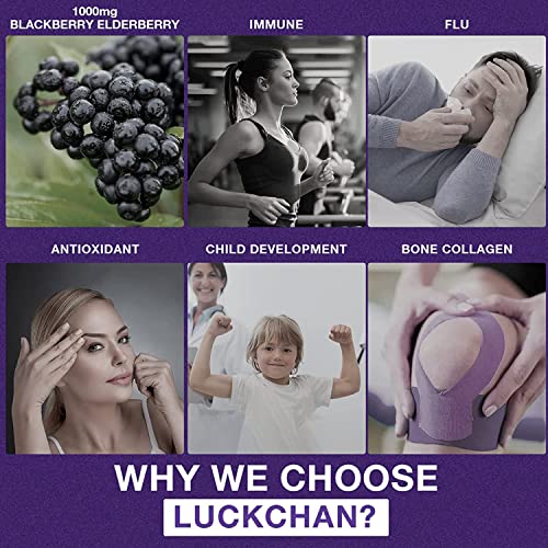 3 Pack High Potency Elderberry Gummies with Zinc - Black Elderberry Pectin Vitamin C - Echinacea - Immunity Support Dietary Herbal Supplements - Adult & Kids - Made in USA