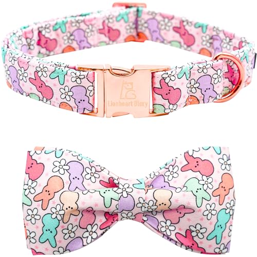 Lionheart Dog Collar with Bowtie