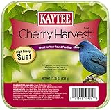 Kaytee Cherry Harvest Suet Feed, 11.75-Ounce