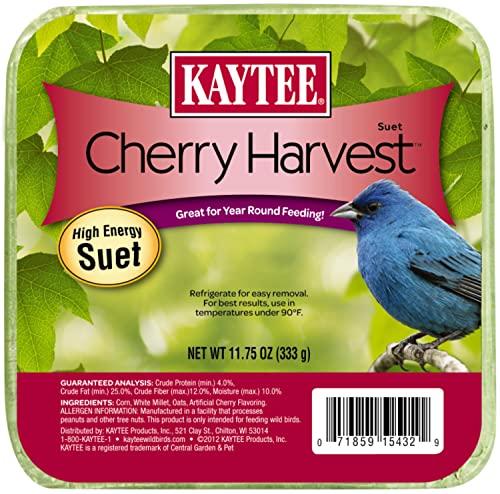 Kaytee Cherry Harvest Suet Feed, 11.75-Ounce
