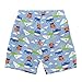 i play. by green sprouts baby boys Trunks With Absorbent infant and toddler reusable swim diapers, Light Blue Island Car, 6-12 Months US