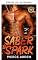 Livro Sabre & faísca (Sessões no limite)