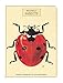 Cavallini Papers & Co. Mini Notebooks Insects Mini Notebooks Packaged Together As One Set, 4 x 5.3